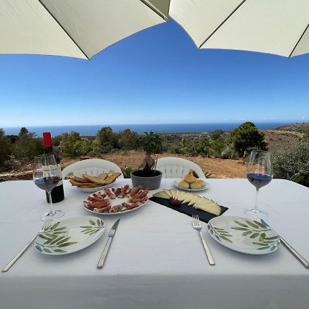 Finca Ines Marbella - Luxury Farm House エクステリア 写真